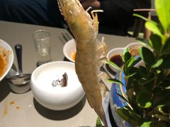 海鲜拼盘-享月汤皇·海鲜小火锅·聚会(曲江创意谷店)