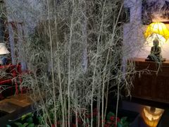 -碧露轩·大益茶体验馆(镇江路店)