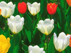 -北京植物园-展览温室