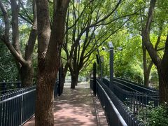 -苏州河梦清园环保主题公园