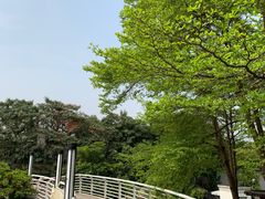 -城南花开咖啡(稻花村店)