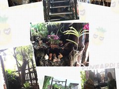 -自然餐厅(Phuket)