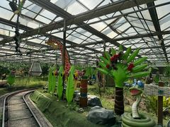 -南宫五洲植物乐园