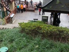 -重庆彩云湖湿地公园