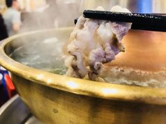 -鑫龙火锅城(环山路店)