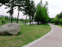 -羊亭河湿地公园