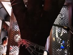 -三只耳火锅(宽窄巷子店)