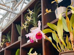 -国家植物园南园