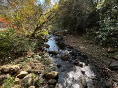 -广州市石门国家森林公园
