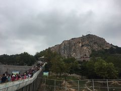 -西霞口神雕山野生动物世界