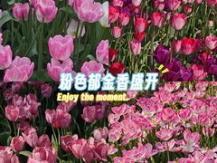 -厦门园林博览苑