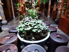 -普洱茶府(博乐广场店)