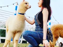 -Blue Concept Cafe&Farm·關於藍