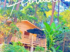 -生态园山庄(森林公园店)