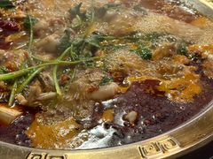 -重庆火锅水库鱼庄(南油店)