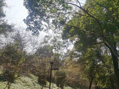 -沙市市中山公园