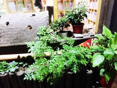 -猫的天空之城概念书店(杭州南宋御街店)