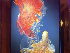 -GalaCity上海歌城(杨浦百联店)