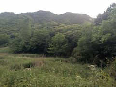 -抱龙峪