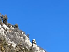 -佛慧山