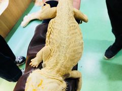 -藦茜花园宠物主题亲子互动体验馆(国顺东路店)