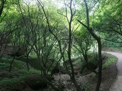 -玉华宫景区