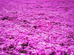 -昆嵛山石门里景区