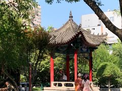 -莲湖公园