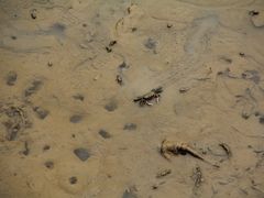 -北海金海湾红树林生态旅游区