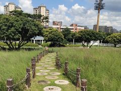 -红花山公园