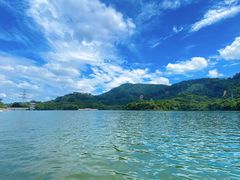 -水濂山森林公园