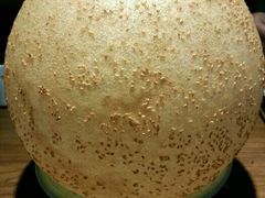 -老宁波1381餐厅(宏泰广场店)