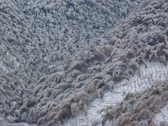 -四明山国家森林公园