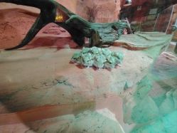 -Zoolung Zoolung动物主题公园(海信广场店)