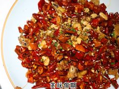 -雲蜀龙阁·金牌水煮鱼(方庄店)