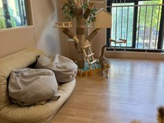 -唐小姐の私宠·宠物洗护美容·撸猫馆·购宠(周浦万达旗舰店)