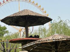 -石家庄市动物园