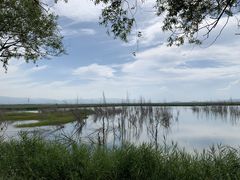 -野鸭湖国家湿地公园