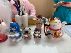 -美迦爱-牙专科·兔科·骨科诊疗中心(北苑店)