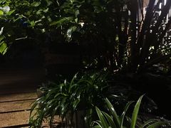 景观位-谷咖啡·鲜花绿植花园餐厅