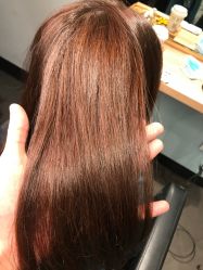 -东方麒麟·潘多拉SALON