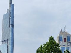 -紫峰大厦