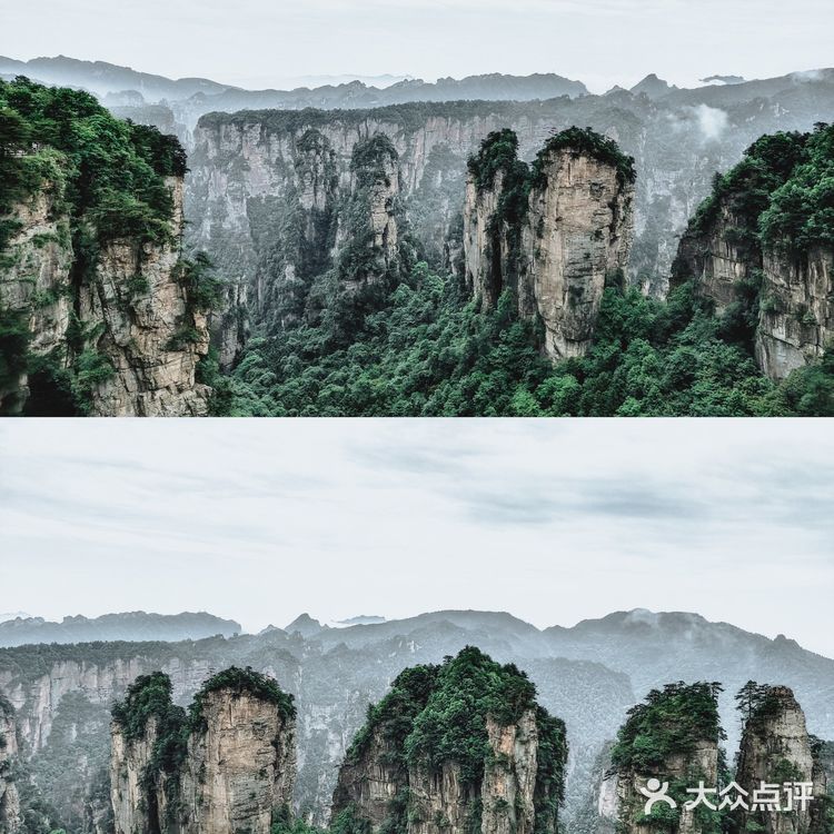 张家界国家森林公园·零基础上手轻松玩转😁