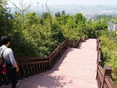 -铁山坪森林公园