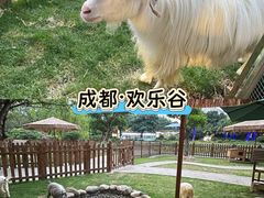 -成都欢乐谷