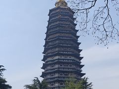 -红梅公园