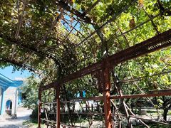 -伊犁老城喀赞其民俗旅游区