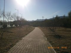 -白水寺森林公园