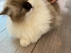 -灯塔咖啡馆BOOK·Coffee Shop