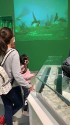 -北京科学中心儿童乐园